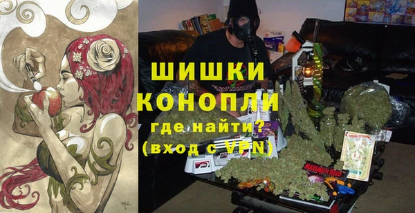 индика Балабаново