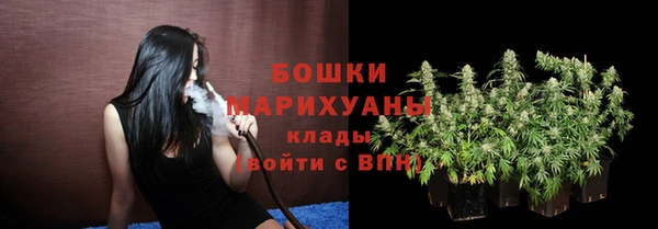 PSILOCYBIN Балахна