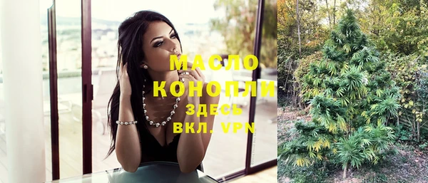индика Балабаново