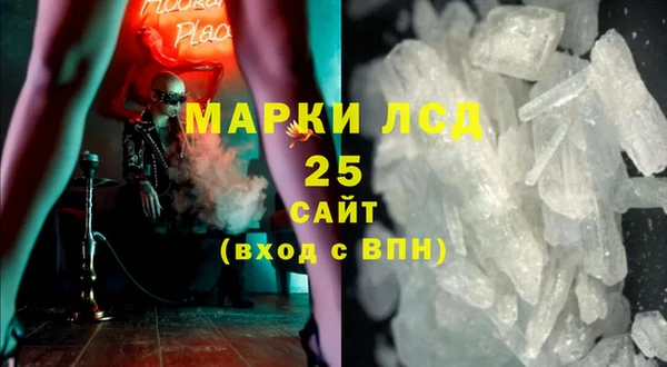 PSILOCYBIN Балахна