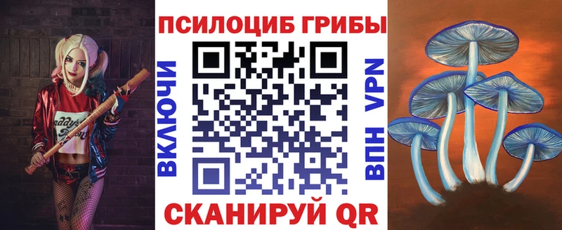 Купить закладки  Байкальск  Псилоцибиновые грибы Cubensis 